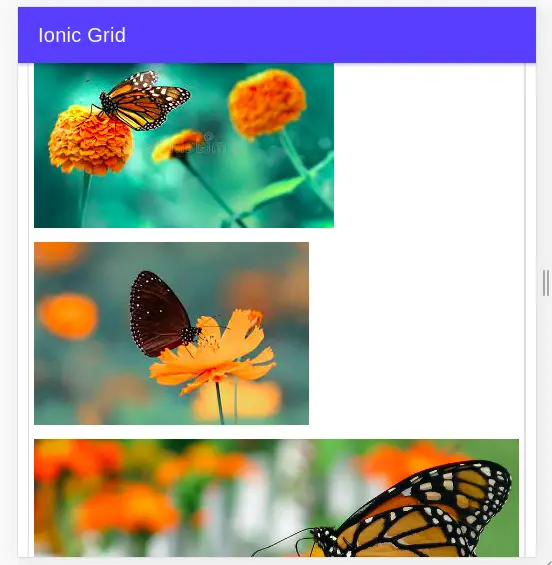 Ionic grid example