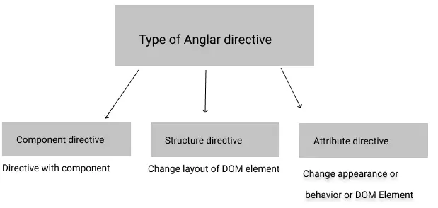 Angular directive types