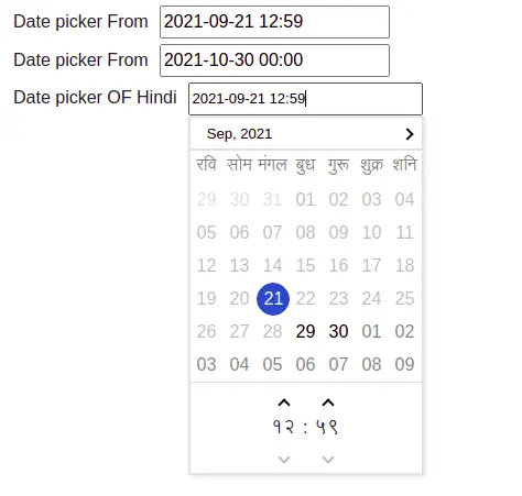 Angular datepicker in hindi
