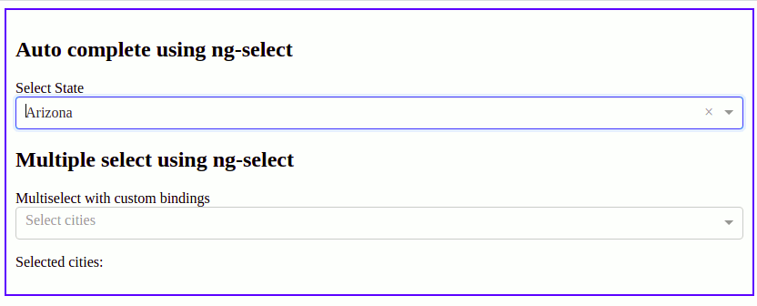 ng select angular select