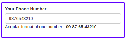 angular format phone number