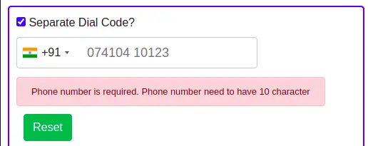angular * phone number validation